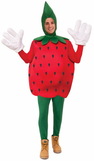 Ruby Slipper Sales 74168 Strawberry Costume for Adults - STD