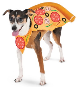Ruby Slipper Sales 580359LXL-XL Pizza Slice Pet Costume - XL