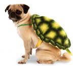 Rubies  Turtle Shell Pet Costume L-XL