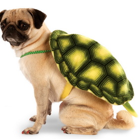 Ruby Slipper Sales 580366L/XL Turtle Shell Pet Costume - L