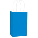 Amscan 261159 Turquoise Cub Solid Kraft Bag