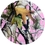 Havercamp 76902 Pink Camo 7" Plates-Round (8 Pack) - NS