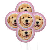 Rachael Hale Glamour Dogs 5pc Foil Balloon Kit