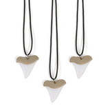 Fun Express 110226 Plastic Shark Tooth Necklace (12)