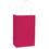 Amscan 121819 Hot Pink Favor Bag