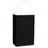 Amscan 121820 Black Favor Bag