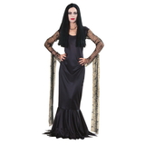 Ruby Slipper Sales 15526S Women's Morticia Addams Costume - S