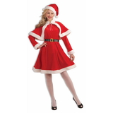 Ruby Slipper Sales 65450 Miss Santa Adult Classic Costume - NS