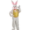 Ruby Slipper Sales 2064 Deluxe Plus Bunny Mascot - NS