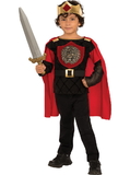Rubies 274077 Boys Little Knight Costume L