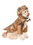 Ruby Slipper Sales 580689M T-Rex Pet Costume - M