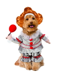Ruby Slipper Sales 580716LXLL Pet It's Walking Pennywise Costume - L