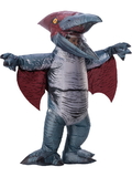 Ruby Slipper Sales 821149NS Men's Pteranodon Inflatable Costume - NS