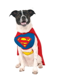 Ruby Slipper Sales 887892LXLXL DC Pet Superman Costume - XL