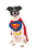 Ruby Slipper Sales 887892LXLXL DC Pet Superman Costume - XL