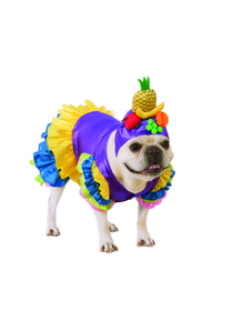 Ruby Slipper Sales 580661S Brazillian Bombshell Pet Costume - S