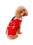 Ruby Slipper Sales 580681M Happy Barkday Vest Pet Costume - M