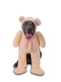 Ruby Slipper Sales  R580714  Big Dog Walking Teddy Bear Pet Costume
