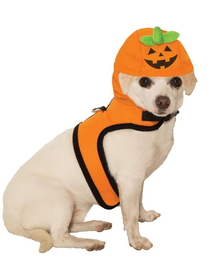 Ruby Slipper Sales 80444 Jack-A-Lantern Costume For Pets - M