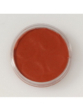 Ruby Slipper Sales 71485 Red Face Paint Pot - NS