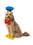Ruby Slipper Sales 200169ML Donald Duck Pet Accessory Kit - ML