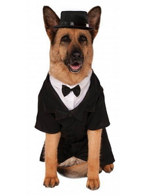 Ruby Slipper Sales 580278XXL Dapper Dog - Big Dogs Pet Costume - NS