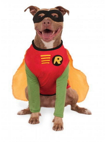 Ruby Slipper Sales 580379XXXL Robin - Big Dogs Pet Costume - NS2