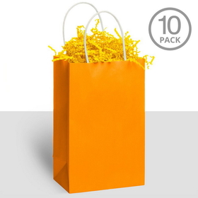Amscan 295162 Kraft Handle Bags Orange (10 Pack) - NS