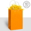 Amscan BB16250005 Kraft Handle Bags Orange (10 Pack) - NS