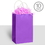 Amscan BB162500106 Kraft Handle Bags Purple (10 Pack) - NS