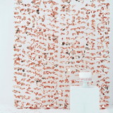 Ginger Ray  BB135192  Ginger Ray Rose Gold Floating Petal Flower 6.5' x 5.5' Curtain, NS