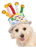 Ruby Slipper Sales R580410 Birthday Cake Hat Costume Pet - SM