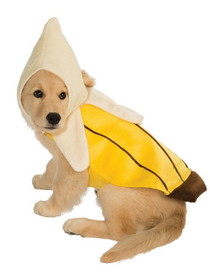 Ruby Slipper Sales R887830 Pet Banana Costume - L