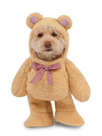 Ruby Slipper Sales R580329 Pet Walking Teddy Bear Costume - XS