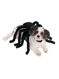 Ruby Slipper Sales  R580089  Pet Spider Harness Costume