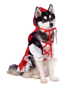 Ruby Slipper Sales R580245 Little Red Riding Hood Costume for Pet - M