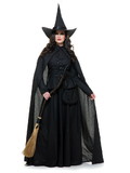 CH02910 Ruby Slipper Sales CH02910 Womens Wicked Witch Costume, XS
