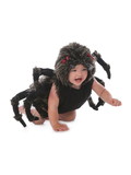 Ruby Slipper Sales PP4454 Infant Talan the Tarantula Costume - TODD