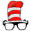 Amscan BB139846 Cat in the Hat Funshades - OS