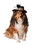 Ruby Slipper Sales R580166 Happy New Year Hat for Pets (S-M) - SM