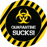 BIRTH3000 BBQUARSTS Quarantine Party Mini Stickers (24)
