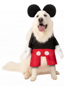 Ruby Slipper Sales R200650 Pet Big Dogs Mickey Mouse Costume - XXL