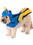 Ruby Slipper Sales R200640 Finding Nemo: Dory Pet Costume - L