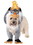 Ruby Slipper Sales R200627 The Lion King: Rafiki And Simba Pet Costume - S