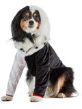 Ruby Slipper Sales R202259 101 Dalmatians: Cruella Deville Pet Costume - S