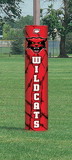 Bison FBCPPG Full-Color Graphic Football Goalpost Padding