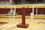 Bison Padding Set for Arena II and Arena JR Court Adder, Price/EA