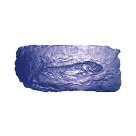 Bon Tool 32-682 Fossil Stamp - Fish
