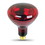 FEIT 250R40/10 Heat Lamp, 250 W, Medium E26 Lamp Base, Incandescent Lamp, BR40 Shape, Price/each