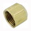 AMC 754040-04 Flare Cap, Tube, 45 deg, 1/4 in Nominal, Flare End Style, Brass, Price/each